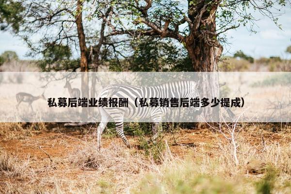 私募后端业绩报酬（私募销售后端多少提成）