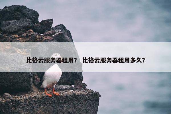 比格云服务器租用？ 比格云服务器租用多久？