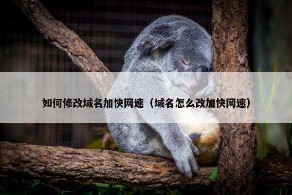 如何修改域名加快网速（域名怎么改加快网速）