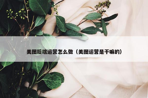 美图后端运营怎么做（美图运营是干嘛的）