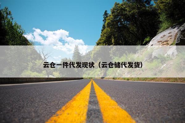 云仓一件代发现状（云仓储代发货）