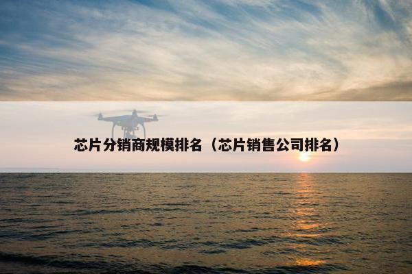 芯片分销商规模排名（芯片销售公司排名）