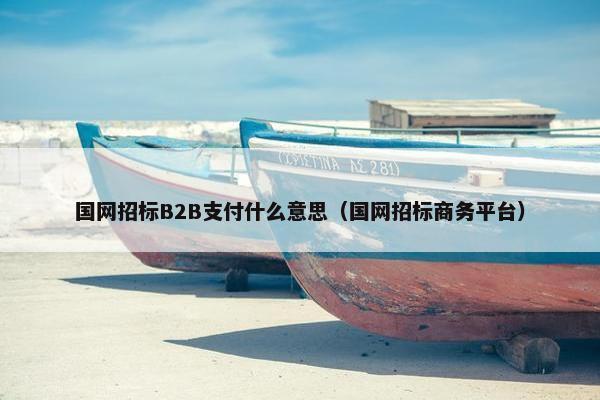 国网招标B2B支付什么意思（国网招标商务平台）