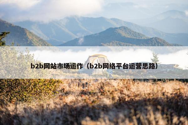 b2b网站市场运作（b2b网络平台运营思路）