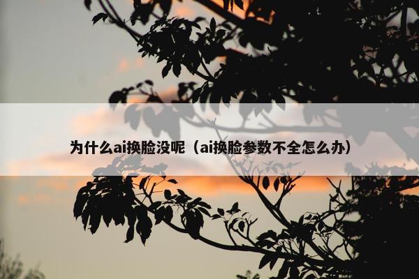 为什么ai换脸没呢（ai换脸参数不全怎么办）