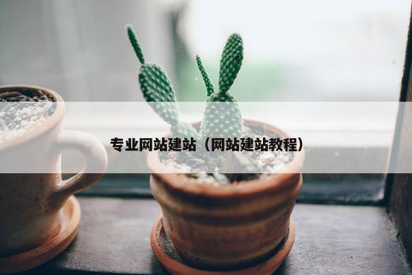 专业网站建站（网站建站教程）