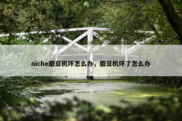 niche磨豆机坏怎么办，磨豆机坏了怎么办