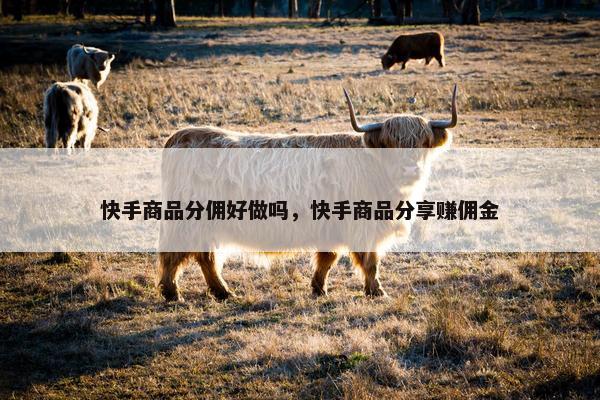 快手商品分佣好做吗，快手商品分享赚佣金