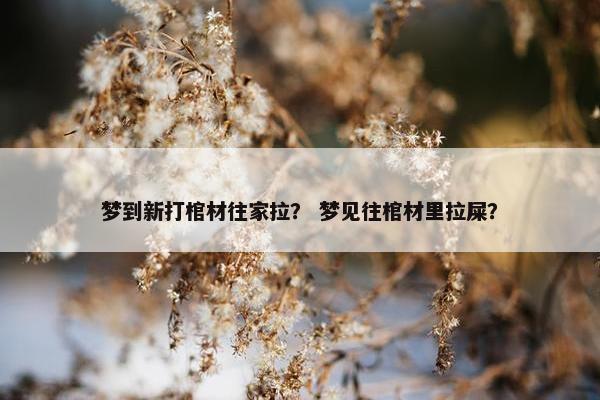 梦到新打棺材往家拉？ 梦见往棺材里拉屎？
