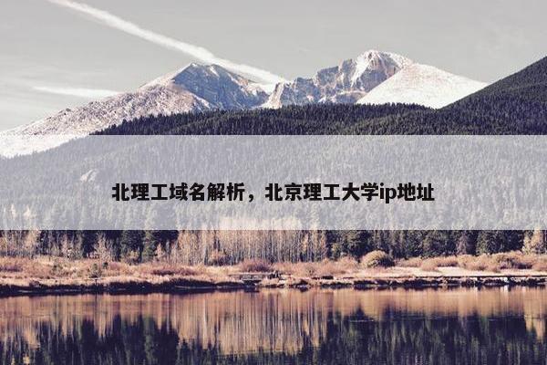 北理工域名解析，北京理工大学ip地址
