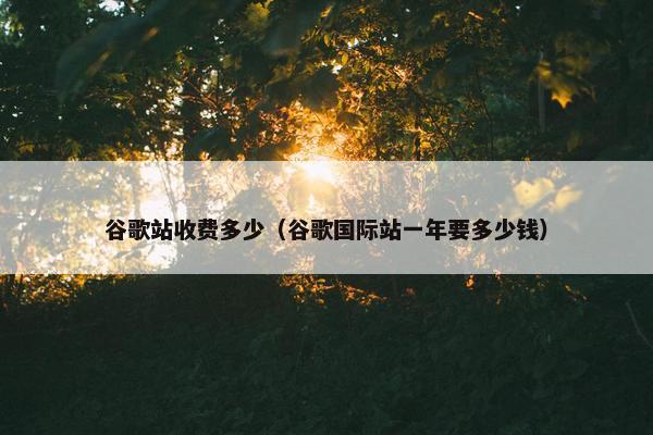 谷歌站收费多少（谷歌国际站一年要多少钱）