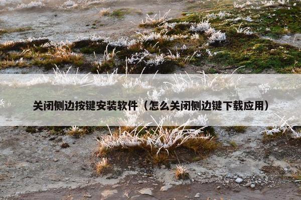 关闭侧边按键安装软件（怎么关闭侧边键下载应用）