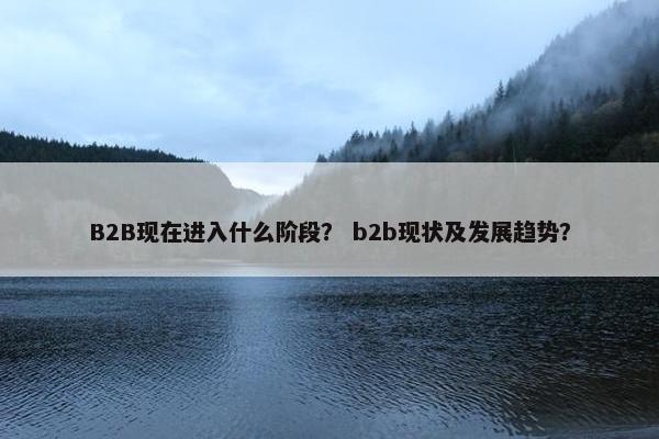 B2B现在进入什么阶段？ b2b现状及发展趋势？
