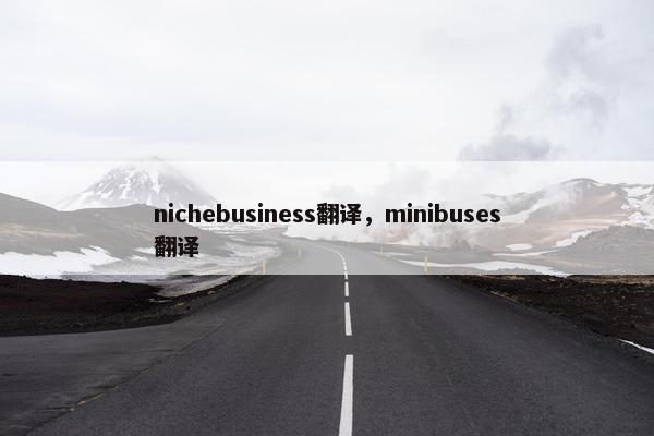 nichebusiness翻译，minibuses翻译