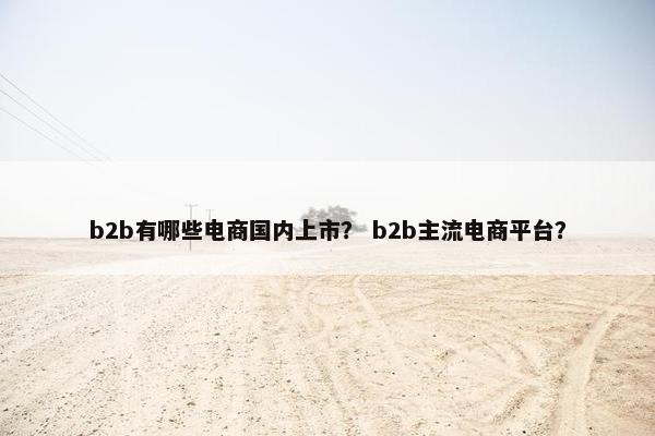 b2b有哪些电商国内上市？ b2b主流电商平台？