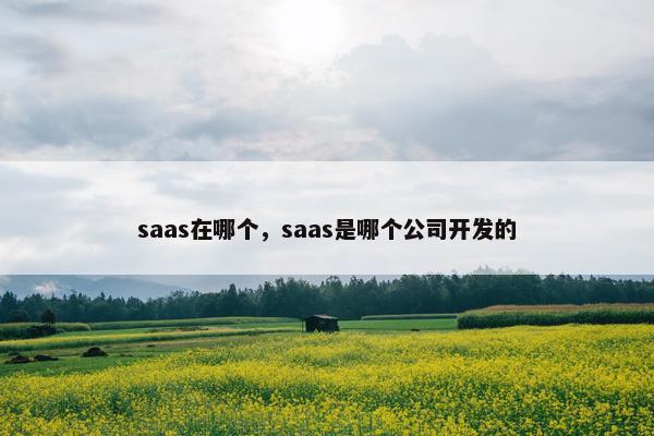 saas在哪个，saas是哪个公司开发的