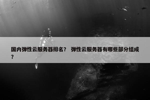 国内弹性云服务器排名？ 弹性云服务器有哪些部分组成？