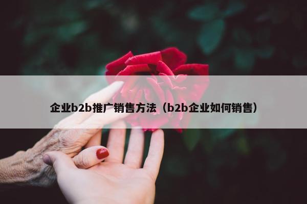 企业b2b推广销售方法（b2b企业如何销售）