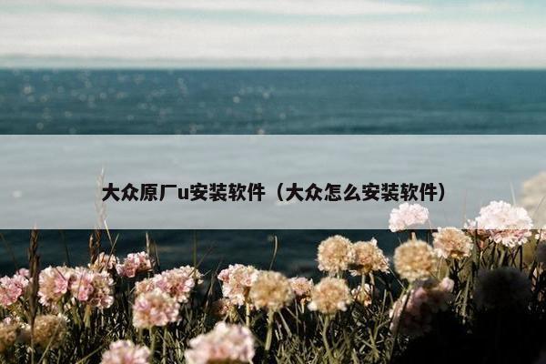 大众原厂u安装软件（大众怎么安装软件）