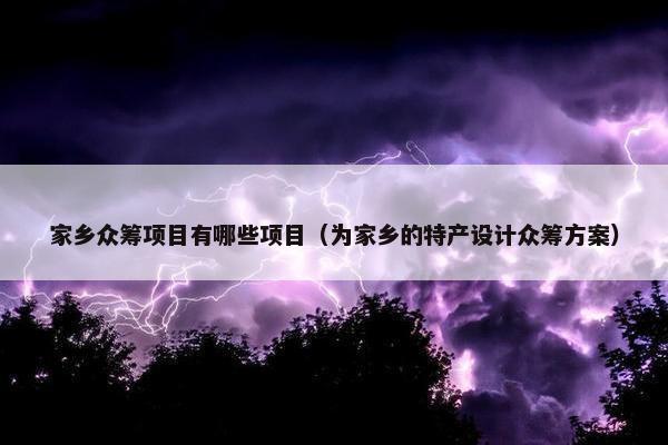 家乡众筹项目有哪些项目（为家乡的特产设计众筹方案）