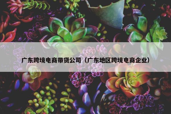 广东跨境电商带货公司（广东地区跨境电商企业）