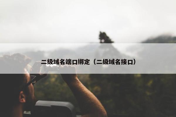 二级域名端口绑定（二级域名接口）