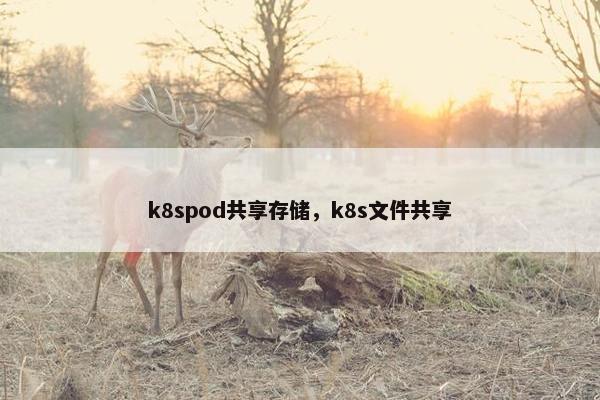 k8spod共享存储，k8s文件共享