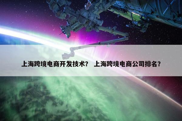 上海跨境电商开发技术？ 上海跨境电商公司排名？