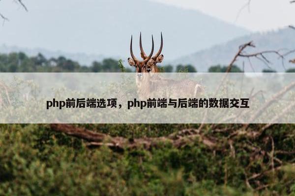php前后端选项，php前端与后端的数据交互