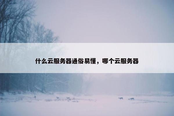 什么云服务器通俗易懂，哪个云服务器