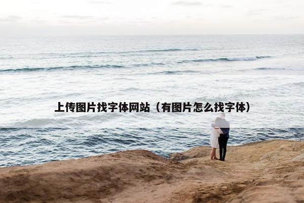 上传图片找字体网站（有图片怎么找字体）