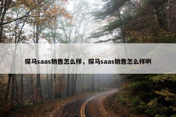 探马saas销售怎么样，探马saas销售怎么样啊