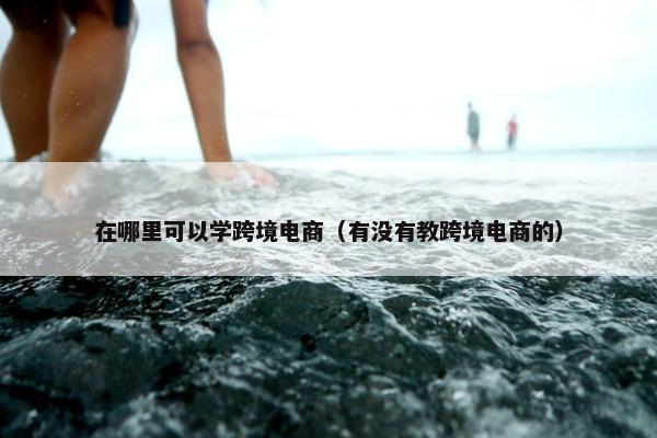 在哪里可以学跨境电商（有没有教跨境电商的）
