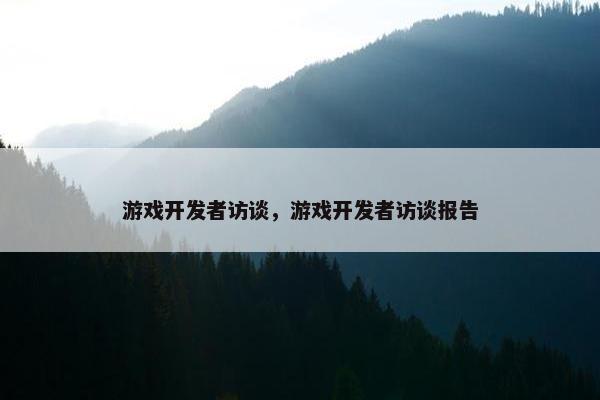 游戏开发者访谈，游戏开发者访谈报告