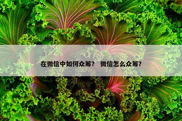 在微信中如何众筹？ 微信怎么众筹？