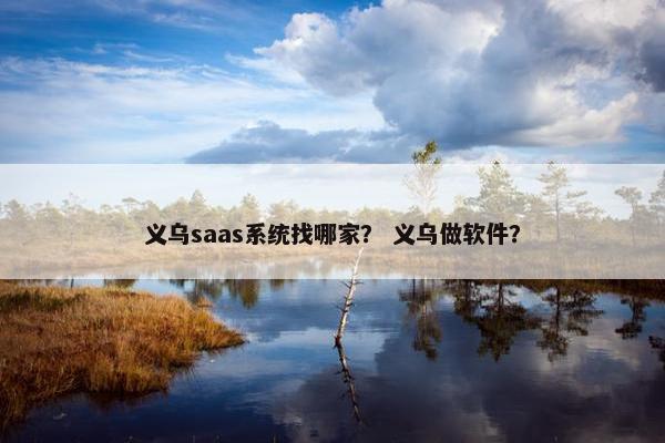 义乌saas系统找哪家？ 义乌做软件？
