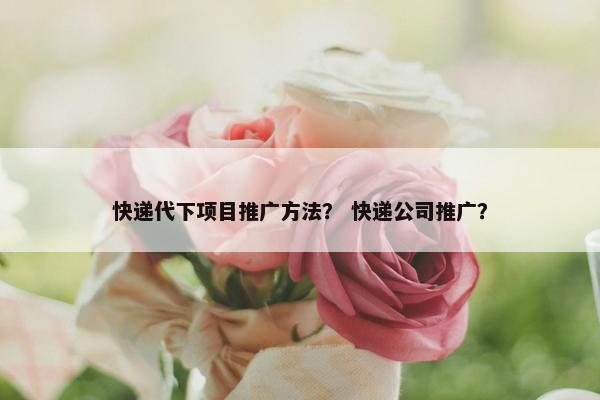 快递代下项目推广方法？ 快递公司推广？