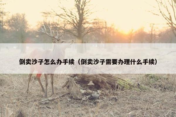倒卖沙子怎么办手续（倒卖沙子需要办理什么手续）