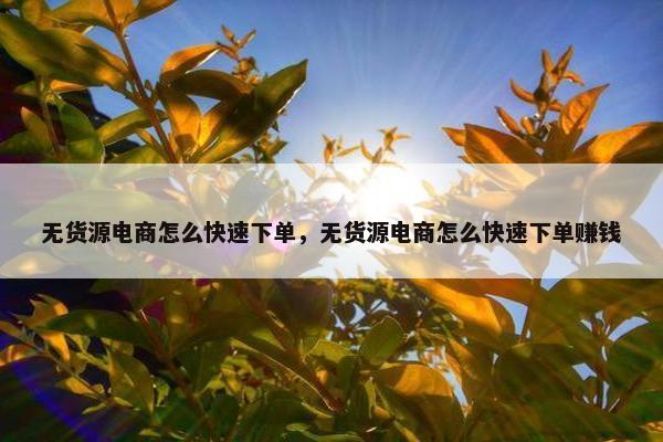 无货源电商怎么快速下单，无货源电商怎么快速下单赚钱