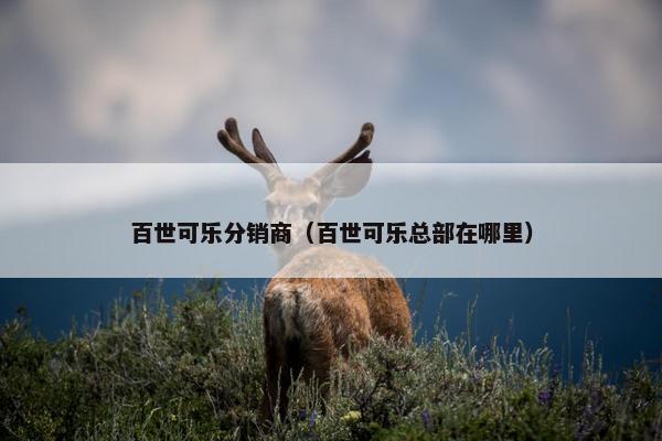 百世可乐分销商（百世可乐总部在哪里）