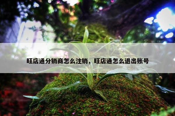 旺店通分销商怎么注销，旺店通怎么退出账号