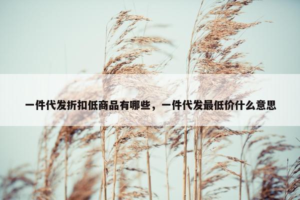 一件代发折扣低商品有哪些，一件代发最低价什么意思