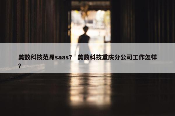 美数科技范昂saas？ 美数科技重庆分公司工作怎样？