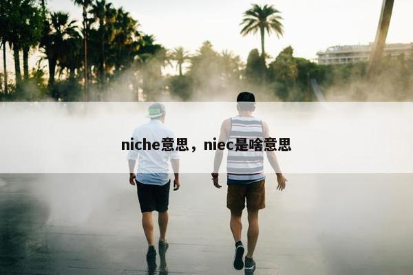 niche意思，niec是啥意思