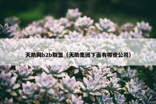 天助网b2b联盟（天助集团下面有哪些公司）