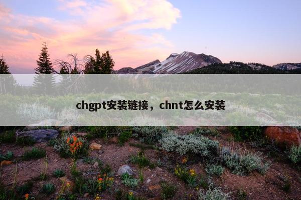 chgpt安装链接，chnt怎么安装