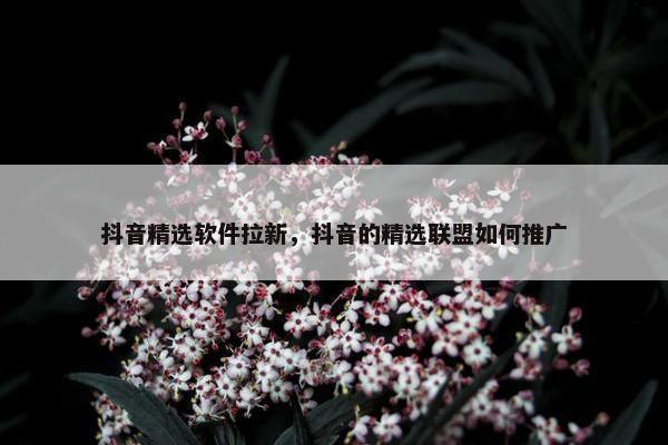 抖音精选软件拉新，抖音的精选联盟如何推广