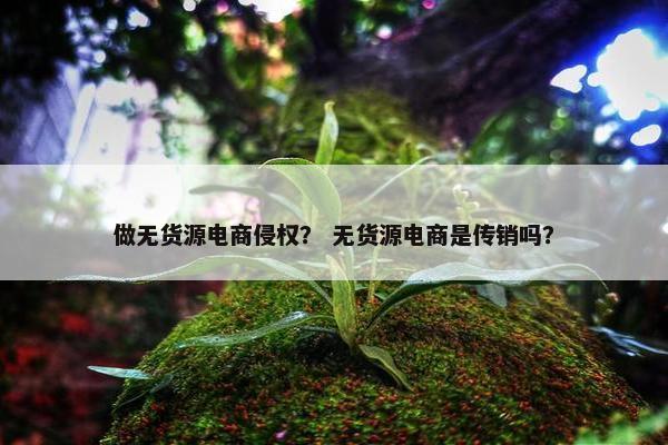 做无货源电商侵权？ 无货源电商是传销吗？