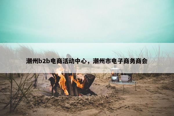 潮州b2b电商活动中心，潮州市电子商务商会