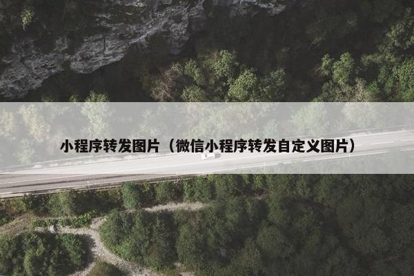 小程序转发图片（微信小程序转发自定义图片）